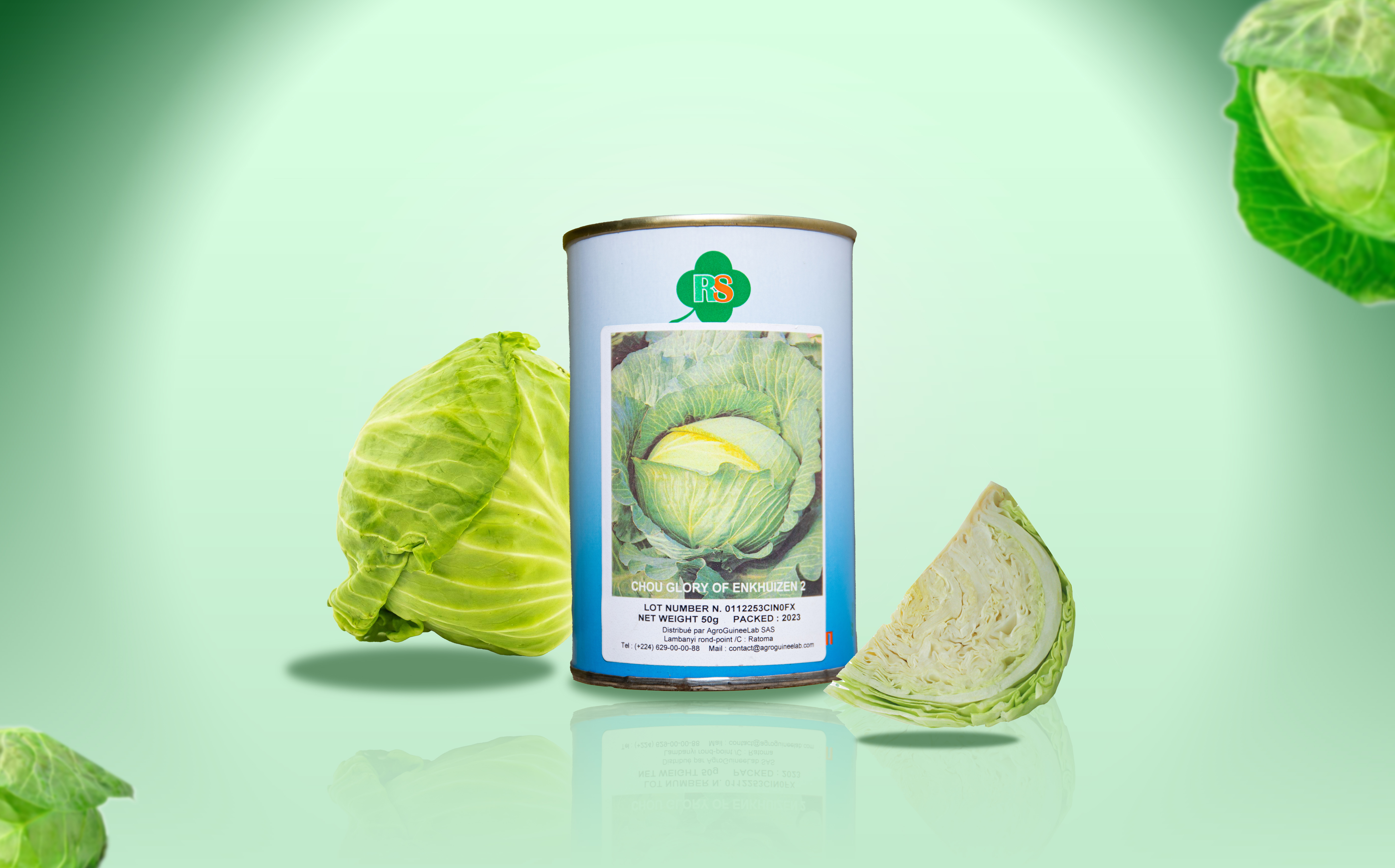 Mantilia Laitue